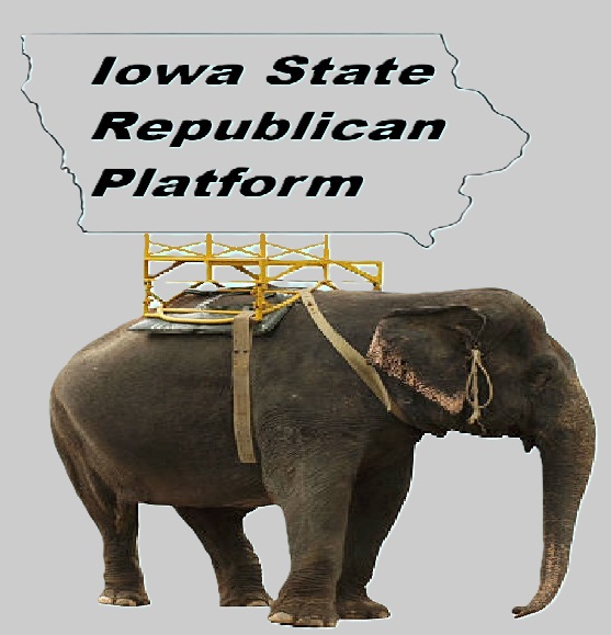 Iowa State Platform Button